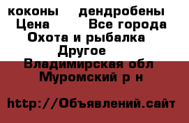 коконы    дендробены › Цена ­ 25 - Все города Охота и рыбалка » Другое   . Владимирская обл.,Муромский р-н